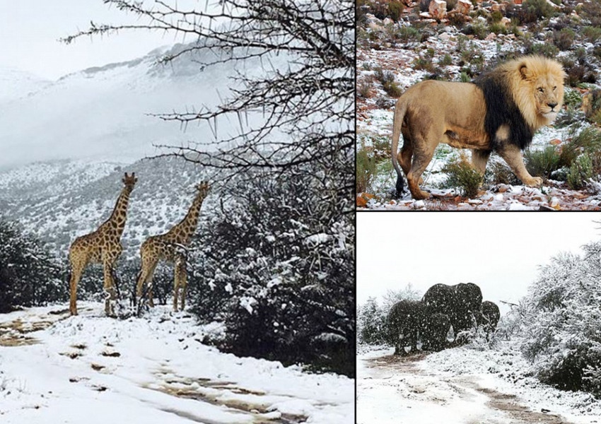 Студен фронт от Антарктика донесе сняг и отрицателни температури в
