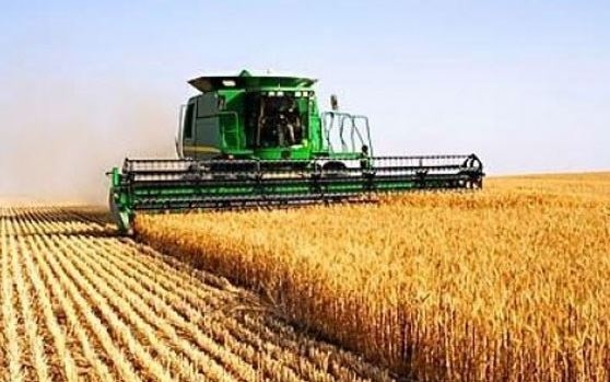 Към 22 юли са ожънати 832 314 хектара с пшеница
