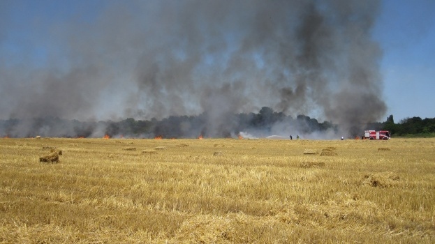 Забранeно е паленето на открит огън тютюнопушенето и паркирането на