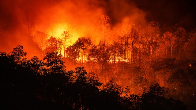 60 горски пожара са избухнали за последните 24 часа в