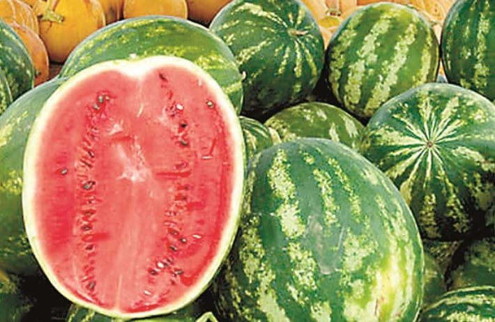 Заради студената пролет тази година сезонът стартира с 10 15 дни