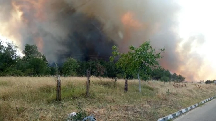 Голям пожар край Старосел, евакуират жителите