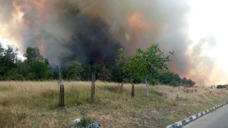 Голям пожар избухна този следобед край хисарското село Старосел. Горят