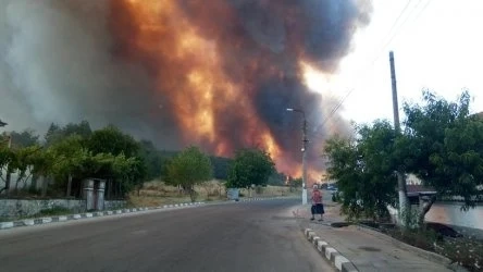 Нормализира се обстановката след пожара в Старосел