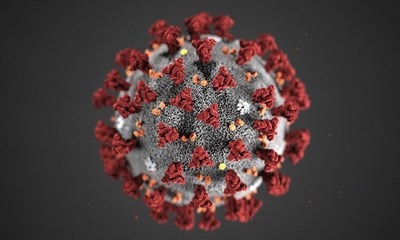 549 са новите случаи на коронавирус през изминалото денонощие, с