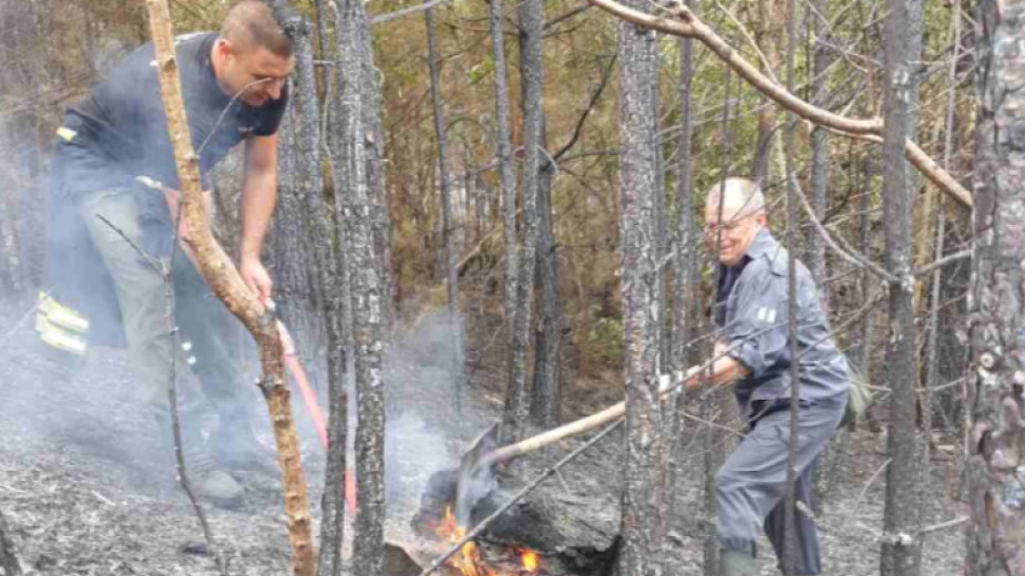 Четири деца са причинили пожара който обхвана на 5 август