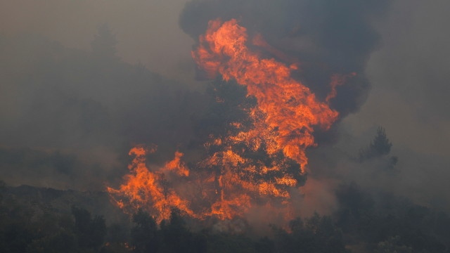 Над 400 души са евакуирани заради голям горски пожар, който