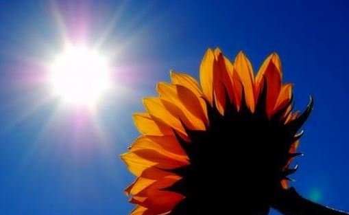 Днес времето над страната ще бъде предимно слънчево и горещо