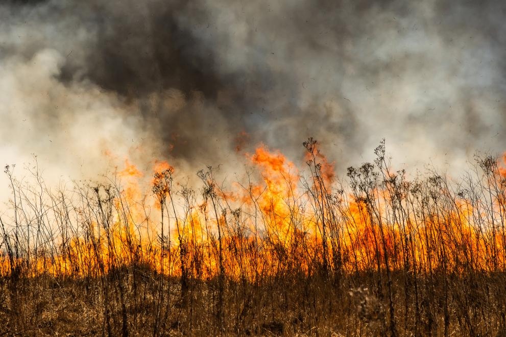 Гори районът на Мусаленската пътека под хижа Ястребец в Рила