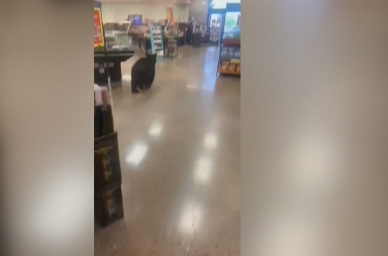 Клиентите на американски супермаркет ококориха очи при вида на нов