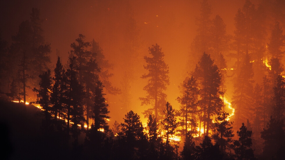 Турският медиен регулатор RTUK нареди на пет телевизионни мрежи да