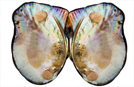 Перленият прах е направен от стрити сладководни или соленоводни перли