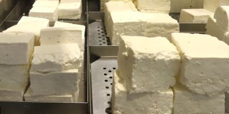 Сиренето с над 60 процента съдържание на вода само в