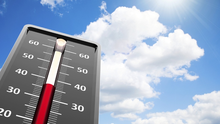 Заради рекордно високите температури това лято гръцки учени започнаха да