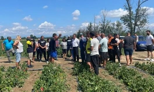 Заради военен самолет не стреляли по градоносния облак в Пловдивско