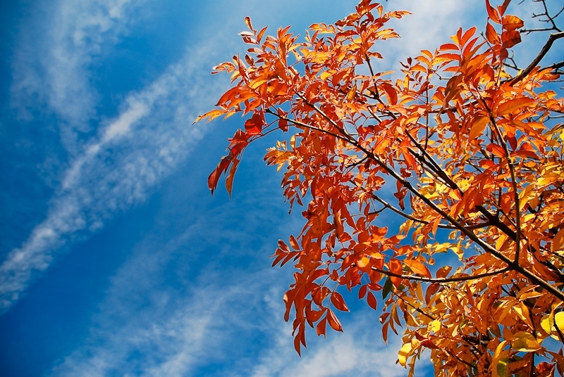 Максималните температури слабо ще се повишат и ще са между 21° и 26°