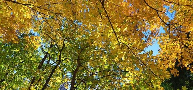 Днес облачността над страната ще бъде разкъсана предимно значителна над