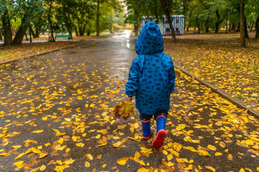Дъждове в Южна България, повече слънце на Североизток