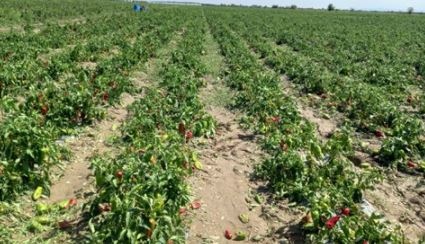 Изготвеното предложение от екипа на Министерство на земеделието храните и