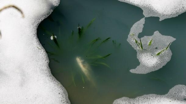 Спукан тръбопровод от инсталацията на рудник е предизвикал ново замърсяване