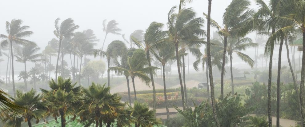 Тропическата буря Никълъс се засили до ураган от първа степен