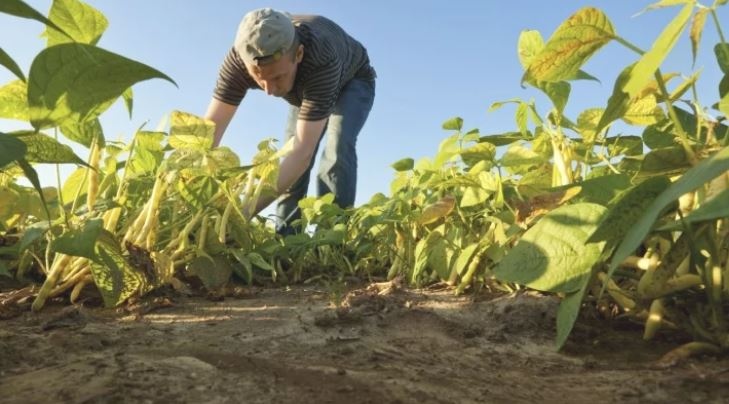 50 хиляди земеделци ще получат 70 милиона лева помощи от