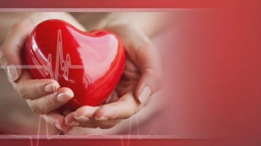 Световен ден на сърцето