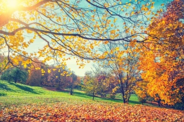 Над Западна България сълнчево, над източна облачно. Максималните температури ще са между 16 и 21 градуса