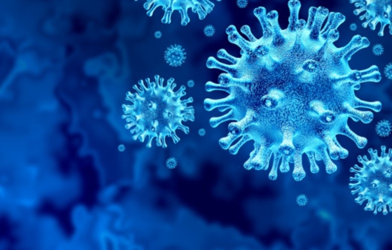 Новозаразените с коронавируса за последното денонощие са 2091 при направени