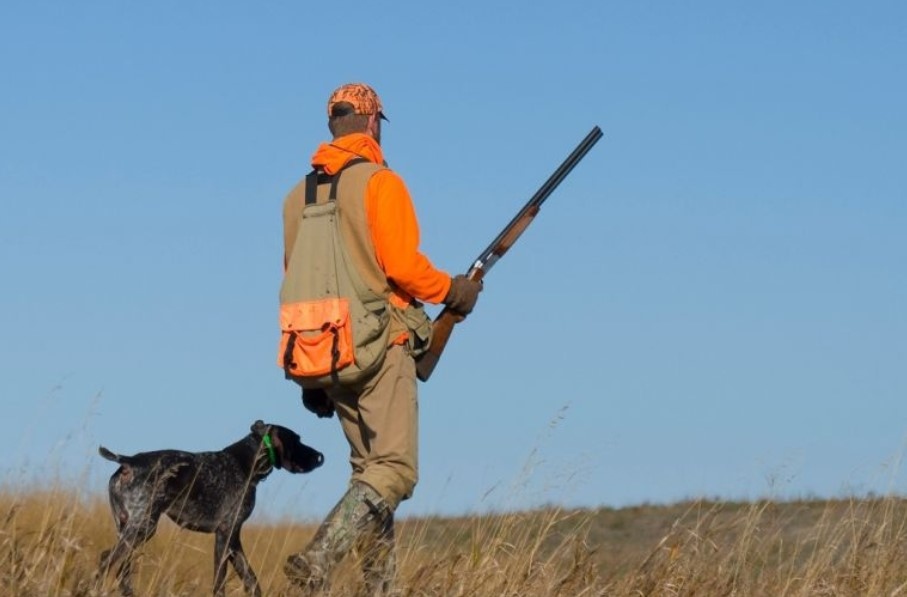 Открива се ловният сезон 2021 2022 г на местен дребен и