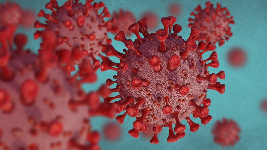 2485 са новите случаи на коронавирус у нас