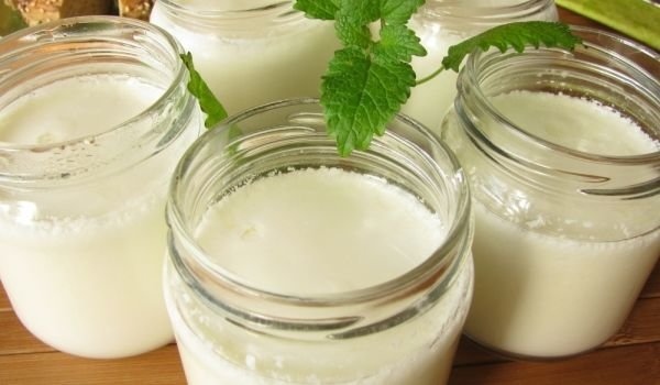 Диетологът Наталия Кушнир обясни как ежедневната консумация на кисело мляко