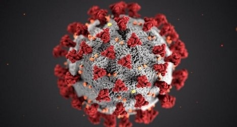 3469 са новите случаи на коронавирус у нас