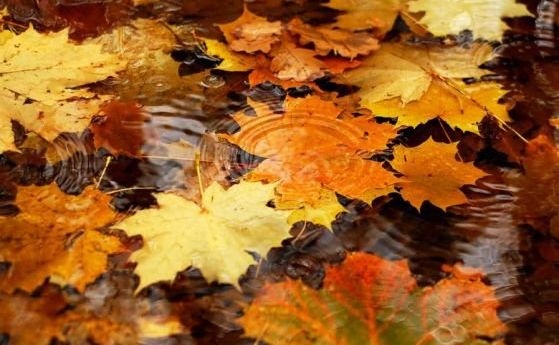 Предупреждение за проливни валежи от първа и втора степен остава