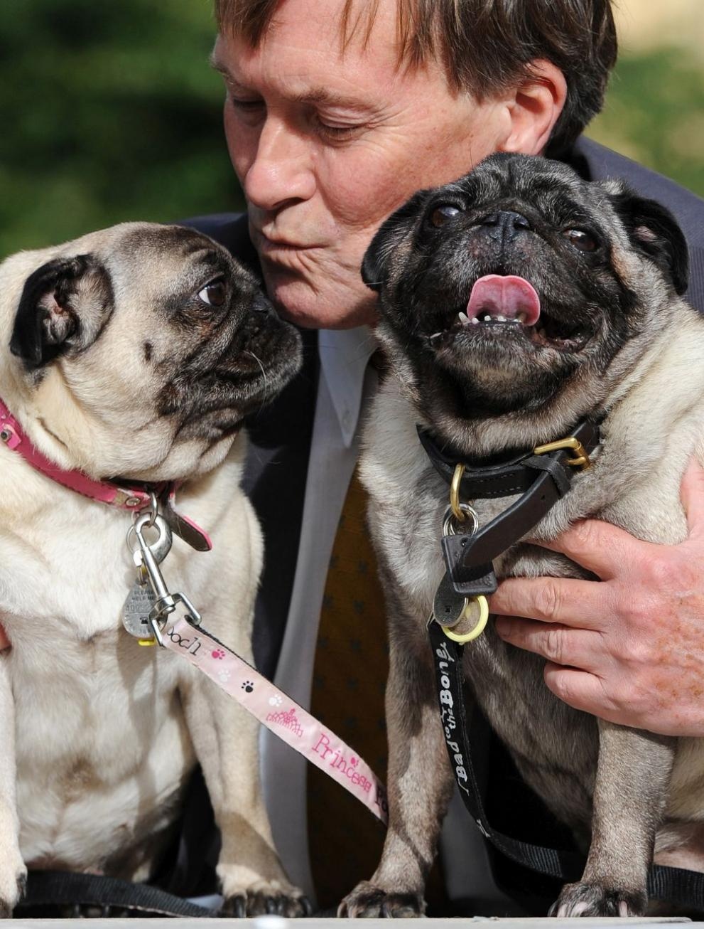 Почина британският депутат Дейвид Еймс който беше намушкан по рано в