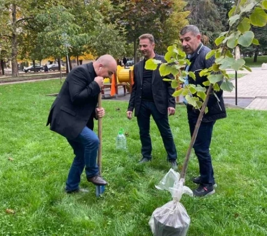 Пламен Абровски и листата на ИТН в Монтана засадиха липа в началото на кампанията