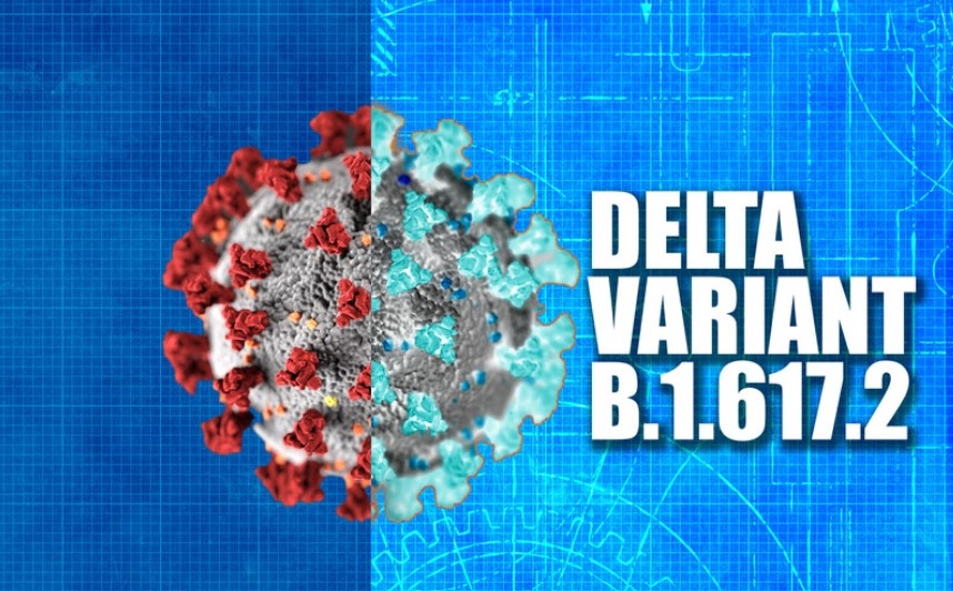 Учени от Оксфордския университет са започнали работа по модификация на