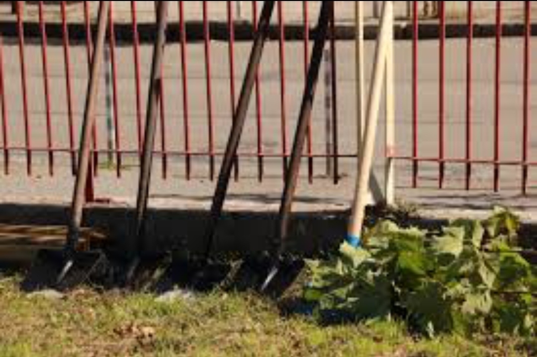 В детска градина № 90 Веса Паспалеева в 10 30 ч