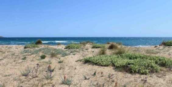 Върховният административен съд потвърди решение на административния съд в Бургас