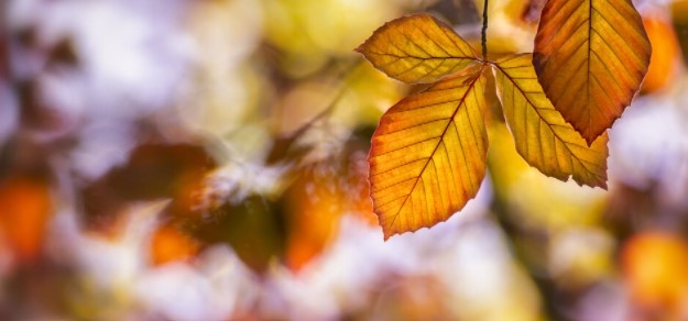 Времето през уикенда няма да бъде толкова приятно колкото беше