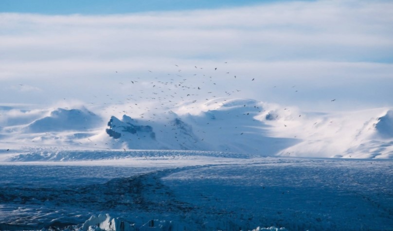 Ядрен отпадък непознати за човечеството досега вируси и бактерии които