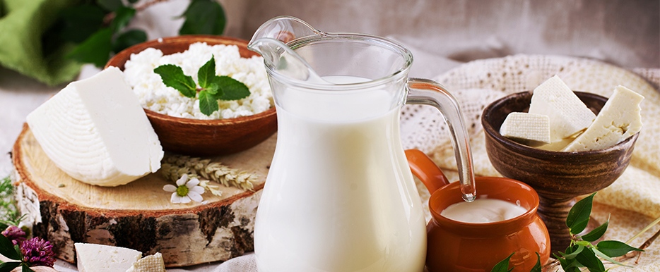 Министерството на земеделието храните и горите МЗХГ разработва Програма за