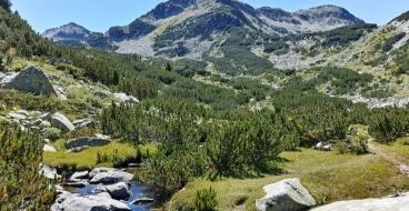 Решението на ЕС за превръщане на Европа в първия неутрален по отношение