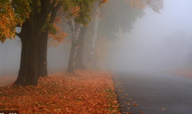 Жълт код за гъсти мъгли в сутрешните часове в четвъртък