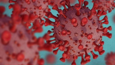 Екип от изследователи в Израел откри протеини в COVID 19 които