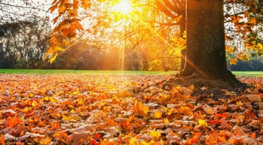 Днес над страната ще преобладава слънчево време с разкъсана предимно