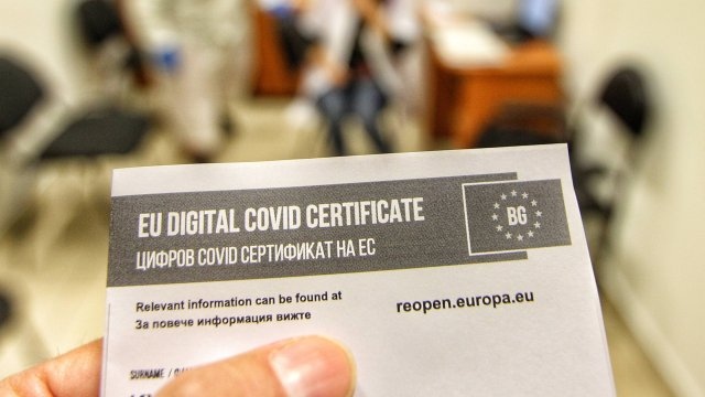 Кандидат за депутат е замесен в схемата за фалшиви зелени