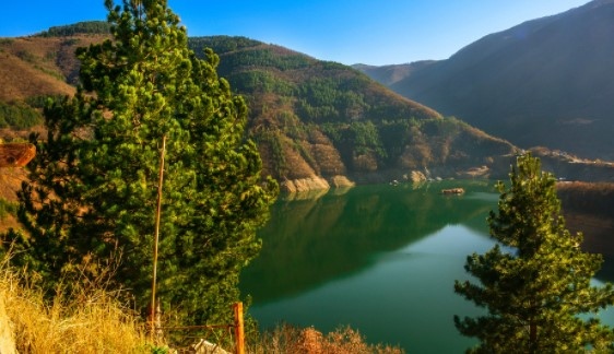 Съдържание от Партия на ЗЕЛЕНИТЕ 1 Партия на ЗЕЛЕНИТЕ и ЗЕЛЕНИТЕ