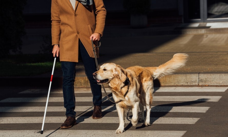 На 13 ноември отбелязваме Международния ден на незрящите Международният ден на