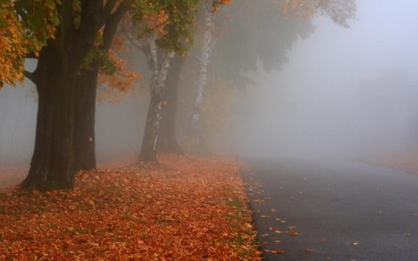 Днес по поречието на Дунав и на места в Северозападна